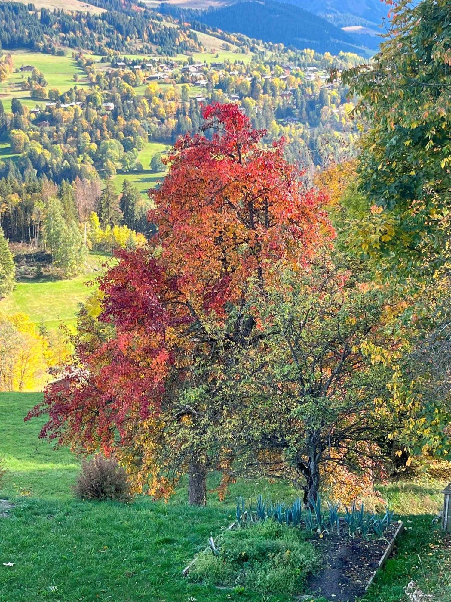 Отель Barmadza Mazots De Charme Деми-Картье Экстерьер фото